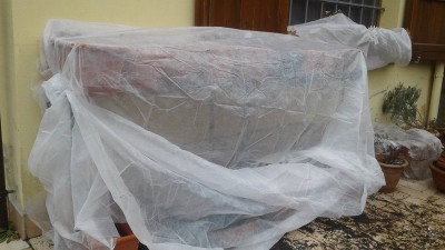 20180318_103814.jpg