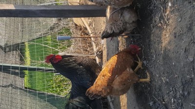 20180323_170958.jpg