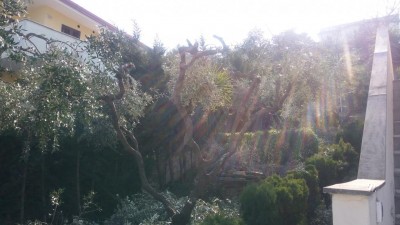 20180326_160117.jpg