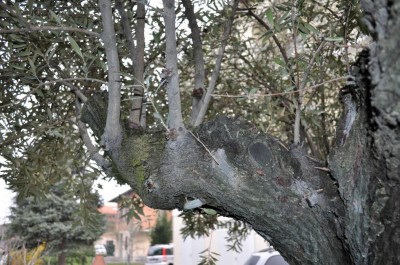DSC_0790.jpg