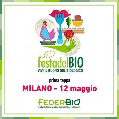 festa.jpg