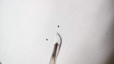 IMG_20180511_084208.jpg