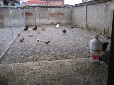 ghiaia2.JPG