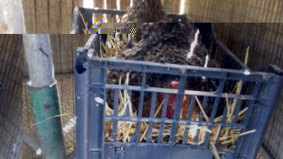 20180623_154446.jpg