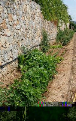 20180628_121231-1.jpg