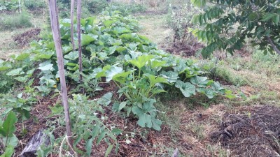 20180630_085940.jpg