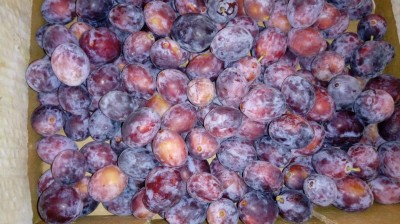 20180702_091006[1].jpg
