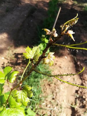 IMG_20180630_163848.jpg