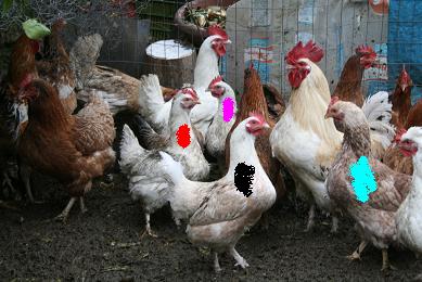 -.JPG