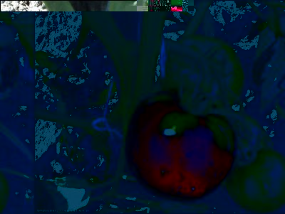 07072018pomodoro.jpg