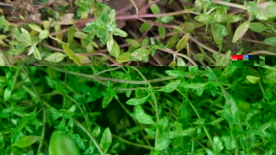 20180715_091843.jpg