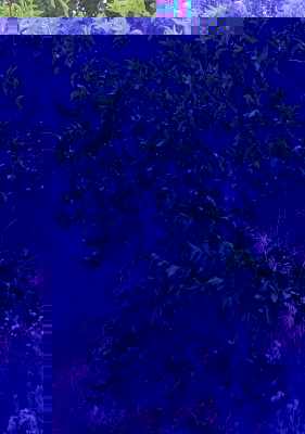 20180803_180012-1.jpg