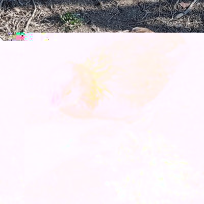 20180902_210216.jpg