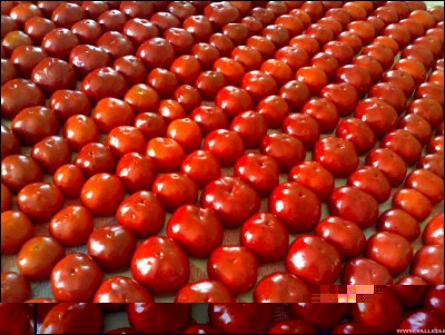 30082018peppers-cotti.jpg