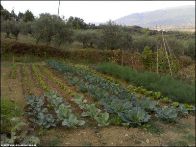 20092018orto-invernale.jpg