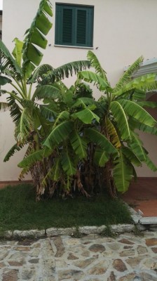 IMG_20181003_094015.jpg