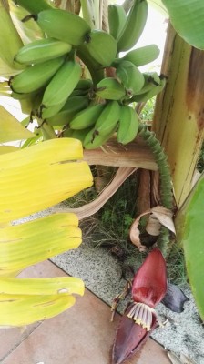 IMG_20181003_094041.jpg