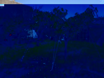 20181025_132907.jpg