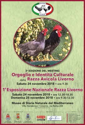 A_Locandina-Gallina-Livornese_2018_01_x stampa.jpg