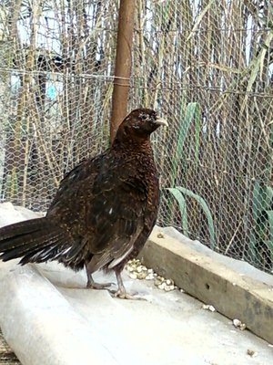 SPM_A0239.jpg