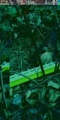 IMG-20190320-WA0002.jpeg