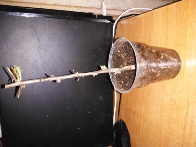 20190810_133905.jpg