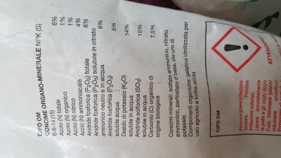 20190830_144247.jpg