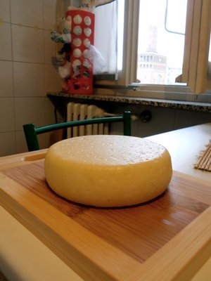 DSCN0987_2.jpg