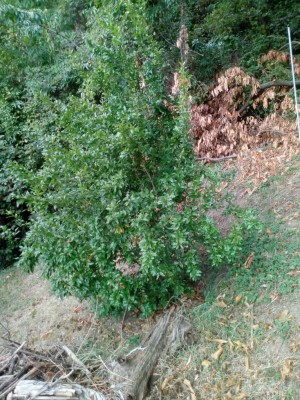 IMG_20190930_144034.jpg