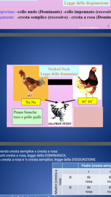 Screenshot_20200414-222945.png