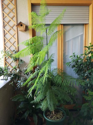 IMG_20200818_115231.jpg
