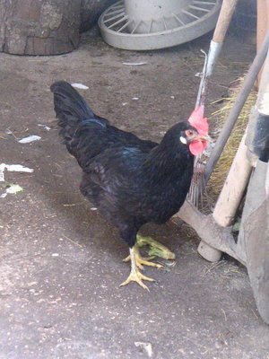 foto 018.jpg