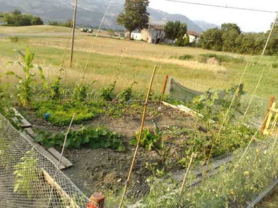 orto luglio.jpg