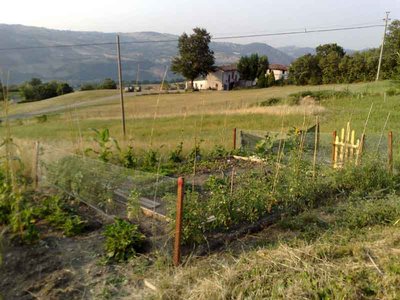orto luglio1.jpg