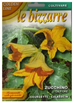 zucchino-da-fiore.jpg