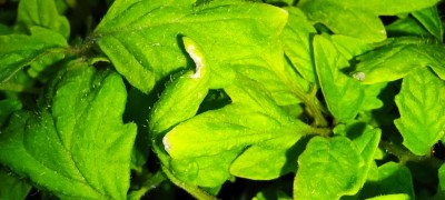 IMG_20220411_051446.jpg