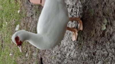 20220930_164044.jpg