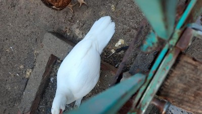 20221011_080052.jpg