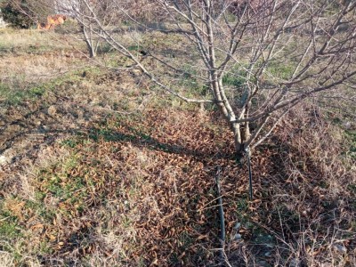 IMG-20240203-WA0000.jpg