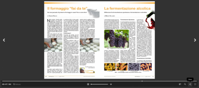 Screenshot 2024-02-11 at 20-38-13 TerrAmica - Num. 1 - 2014.png