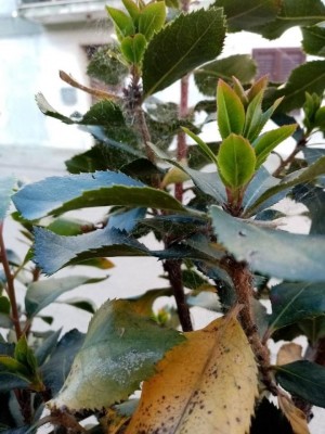 IMG_0290.jpeg