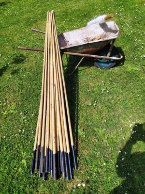 11 IMG_20250503_105347_Edited.JPG