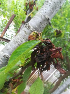 thumbnail_IMG_20250524_104218.jpg