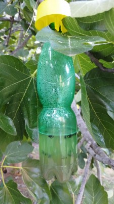 IMG1.jpg