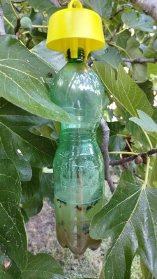IMG2.jpg
