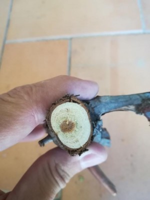 Caso1_4.jpg