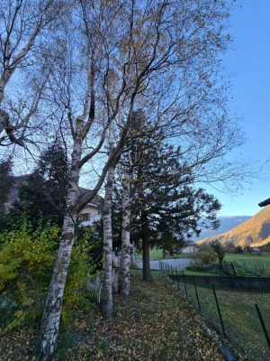 WhatsApp Image 2025-11-04 at 17.41.21 (1).jpeg