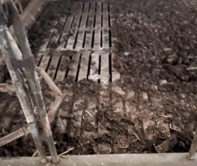 WhatsApp Image 2026-01-20 at 16.20.32.jpeg