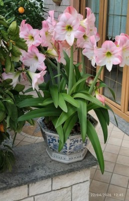 IMG_20260422_124549~2.jpg