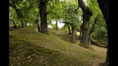 Sentiero Castione Trento.jpg